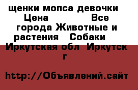 щенки мопса девочки › Цена ­ 25 000 - Все города Животные и растения » Собаки   . Иркутская обл.,Иркутск г.